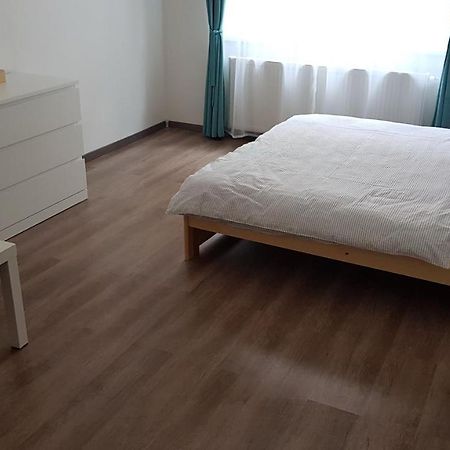 Apartman Pod Zamkem Decin Exterior photo